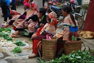 visite  marché de Xi Man nord vietnam 