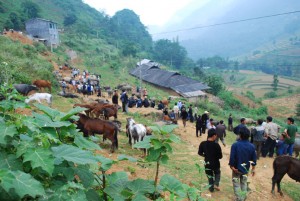 Can Cau marché de montagne nord vietnam