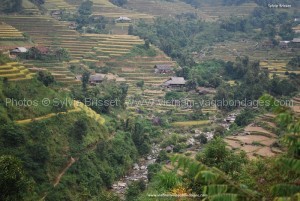 rizière de Hoan Su phi 