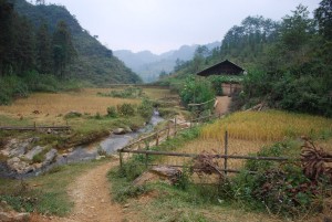 route Bac Ha -Xi Manh