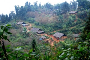 Xi Man -Bac Ha