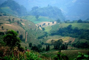 rizière route Bac Ha  Xi Man 