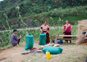 battage du riz  route  Xi Man -Bac Ha  