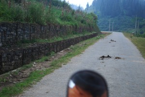 bouse de buffle route au vietnam