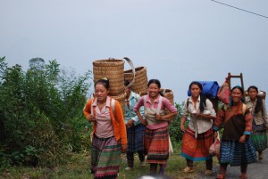 femmes Hmongs route de Coc Ly