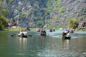 baie along terrestre