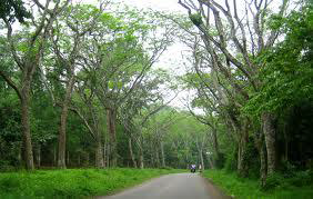 parc de Cuc Phuong