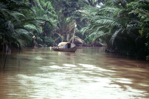 delta mekong aroyo 