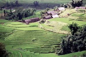 voyage sur mesure en solo trek sapa