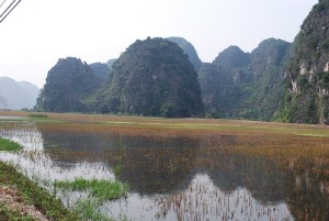 tam coc-ninh binh 