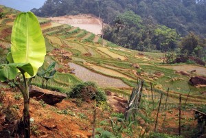 trekking randonnée  parc de phu luong