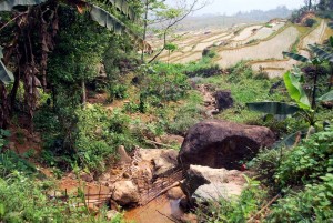 randonnée parc de phu luong 