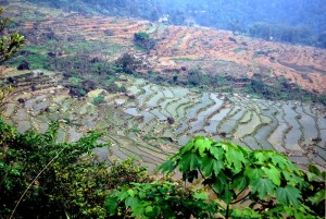 trek parc de phu luong