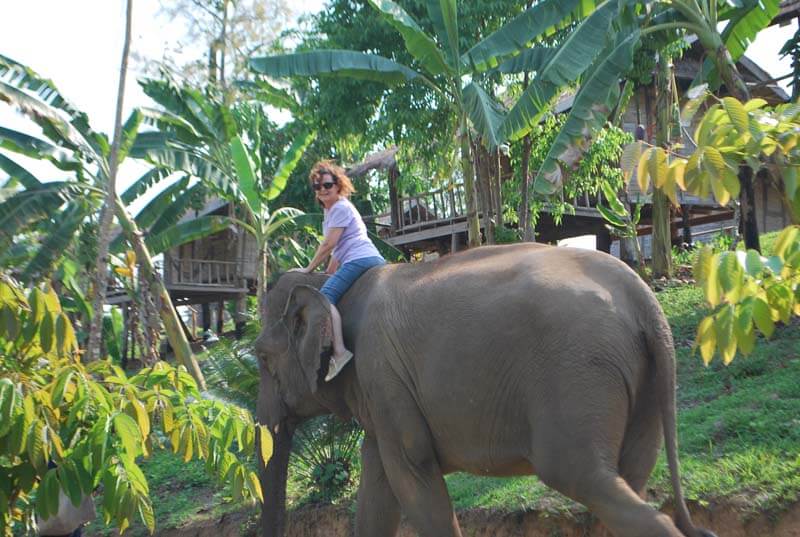voyage laos avec les éléphants 