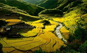 circuit photos rizières vietnam Mu-Cang-Chai 