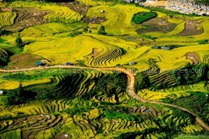 route Sapa - Muong Hum - Y Ty