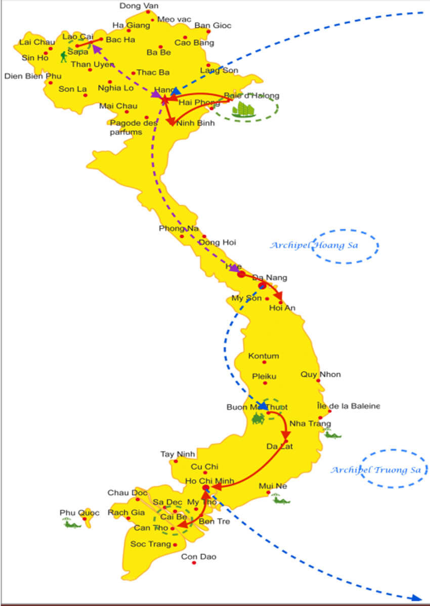 rencontre avec des elephants