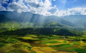 mu-cang-chai-vietnam