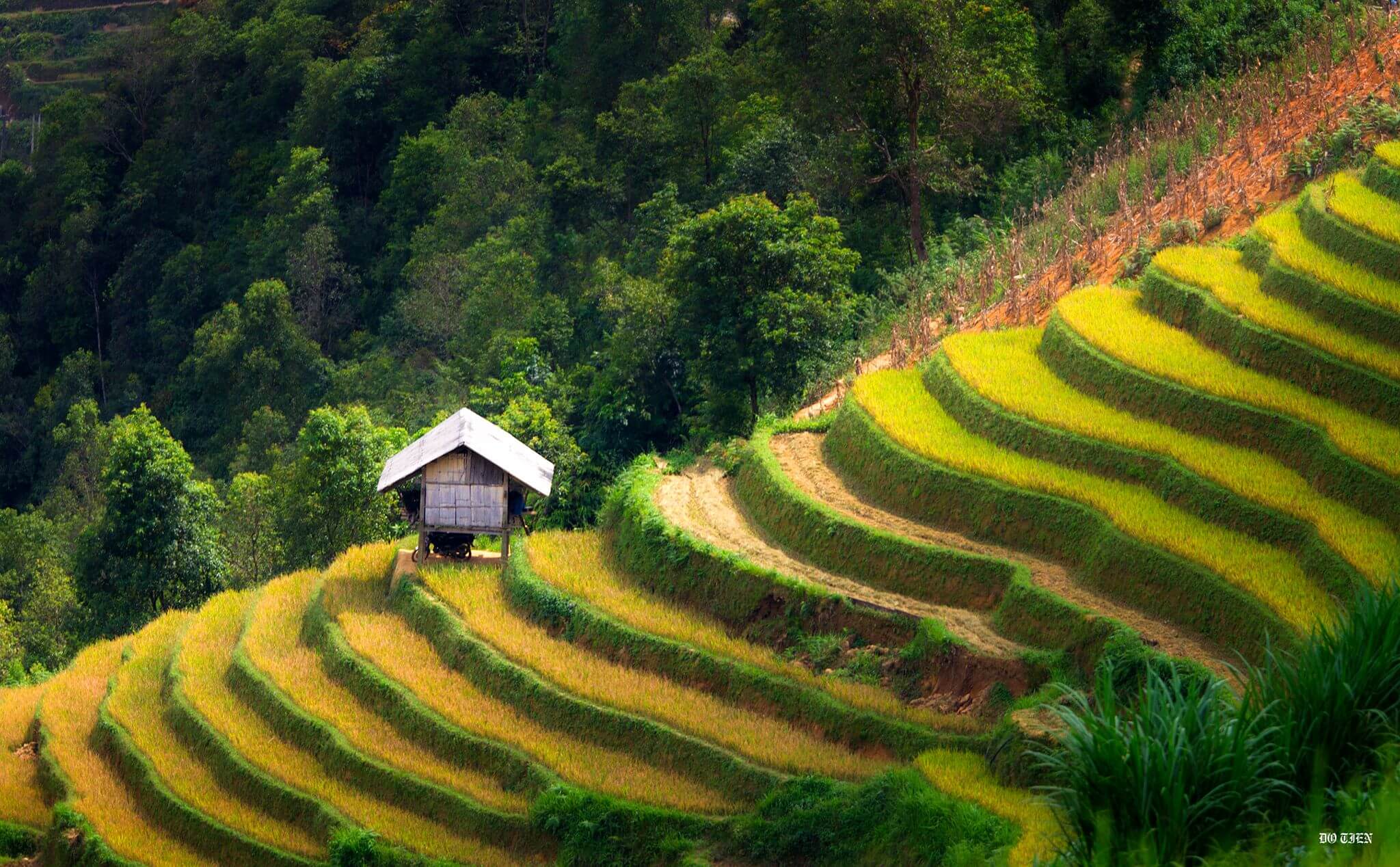 Circuit Vietnam 15 jours nord au sud:  Les plus belles rizières en terrasse