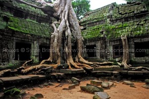 ruine d'Angkor