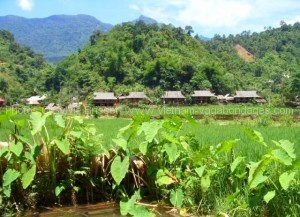 village de ban hieu Trek parc de Pu Luong