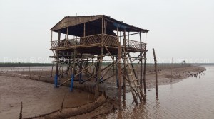  cabane au milieux des champs de coquillages -circuit delta fleuve rouge 