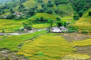 3 semaines au Vietnam avec des enfants 