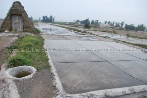 maraissalant-delta-fleuve-rouge-vietnam-02