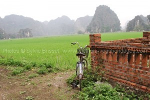 vietnam avec enfants tam-coc-ninh-binh-a-velo