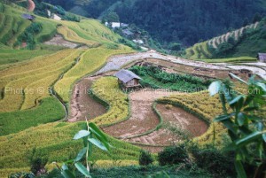 circuit stage photos route Nghia Lo - Mu Cang Chai