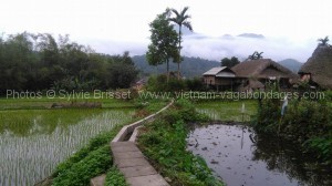 Circuit avec enfants à Sapa -Vietnam