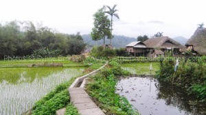 Circuit privatif avec enfants à Sapa -Vietnam