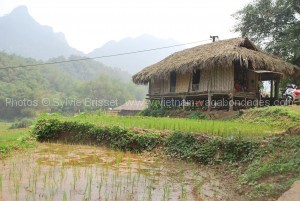 Découvir Maichau avec enfants- Vietnam 