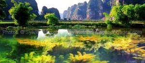 circuit Vietnam en authentique Van Long- Tam Coc  