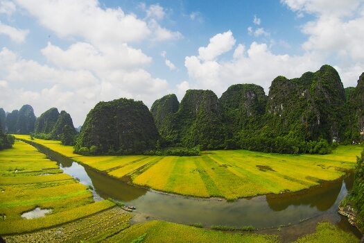 riziere de Ninh Binh circuit privé 