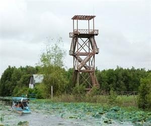 stage photos vietnam Foret Tra Su