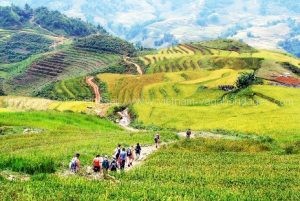 randonnée Sapa avec enfants 