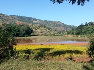 Birmanie rando-WA GYI MAUNG – KHAUNG DAINE - Lac INLE