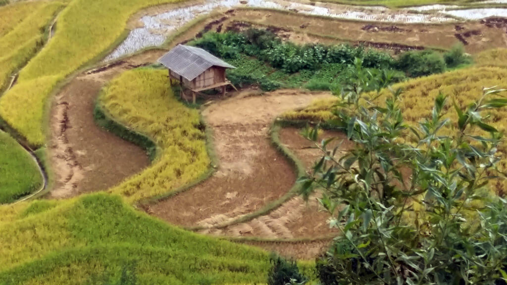  La  force de mon agence de voyages  est une belle connaissance des pays   proposés : Vietnam, Laos, Cambodge et Birmanie. Vous voyagerez avec des    agences locales francophone