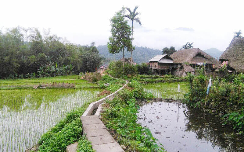 Circuit-en-famille-avec-enfants Vietnam