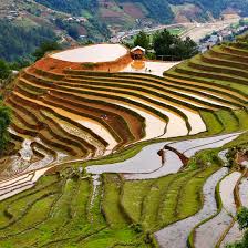  Circuit 22 jours découverte des rizières du Vietnam