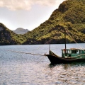 baie along vietnam