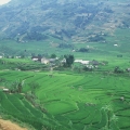 paysage Sapa