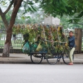 moyen de transport insolite  vietnam