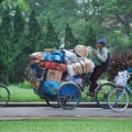 moyen de transport insolite vietnam