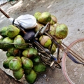 moyen de transport insolite vietnam