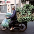 moyen de transport insolite vietnam