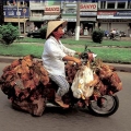 moyen de transport insolite vietnam