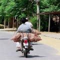 moyen de transport insolite vietnam
