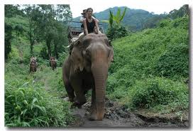 promenade dos elephant Buon Me Thuat ( Dak Lak)